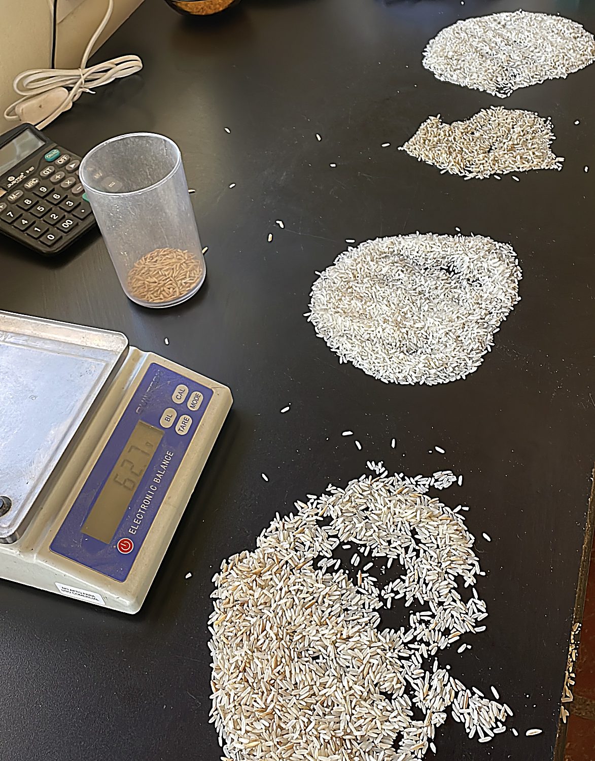 Control de calidad del grano